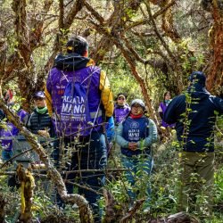 WhatsApp Image 2026-03-06 at 4.13.08 PM